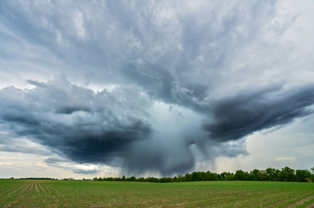 An image of a field and sky to illustrate the environment