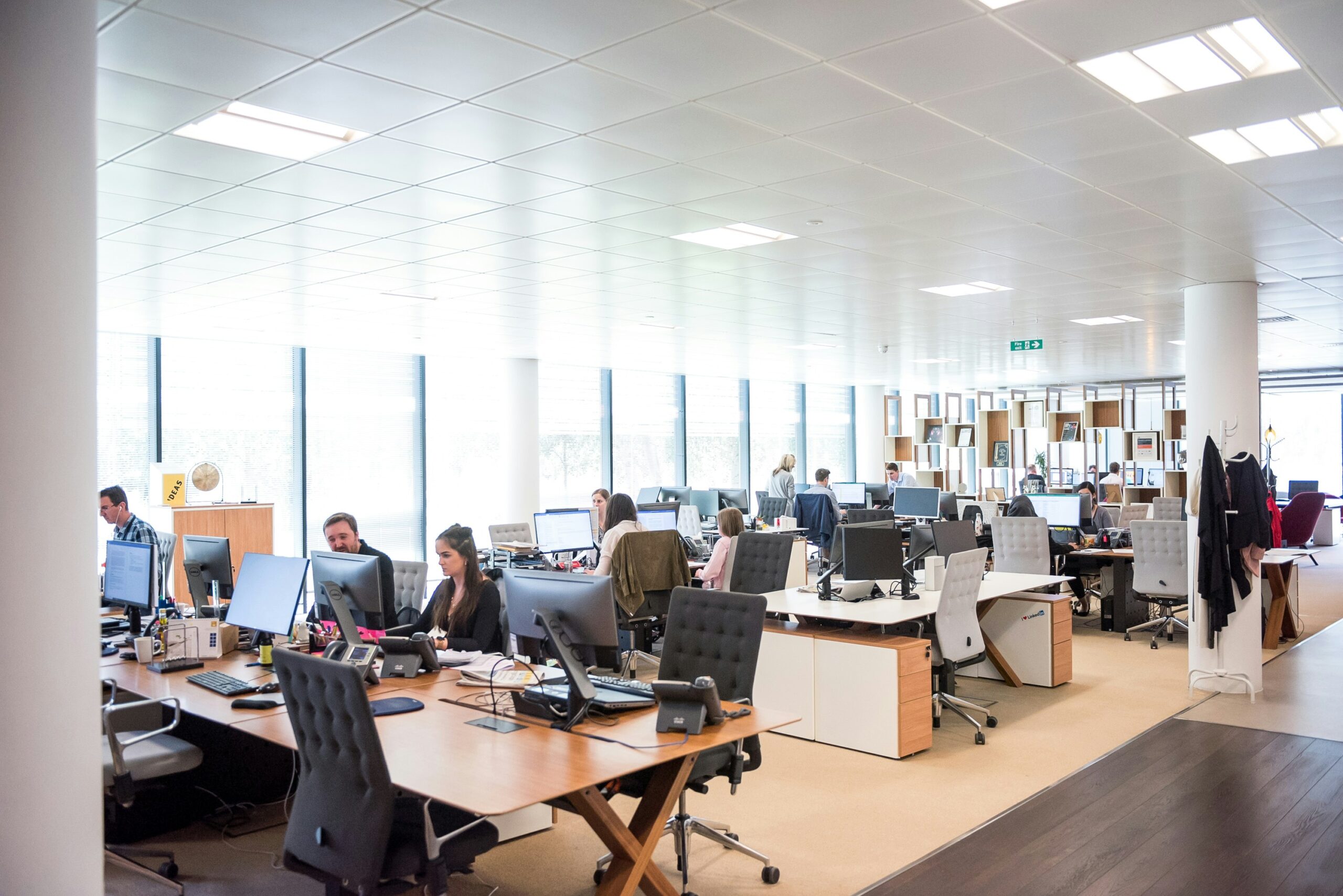 An open plan office full of sunlight where a freight forwarding team are busy at work