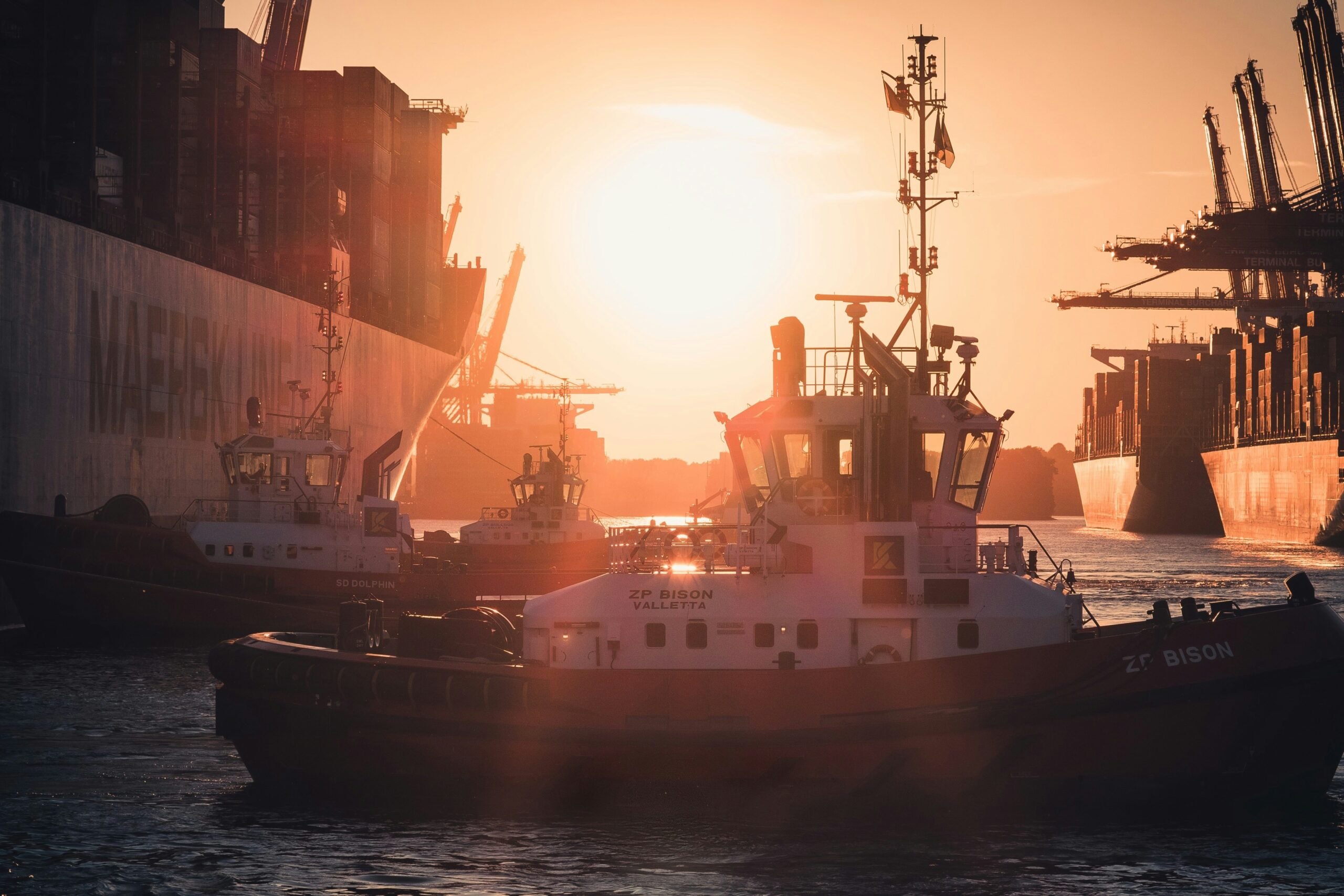 freight forwarding illustrated by a cargo ship unloading