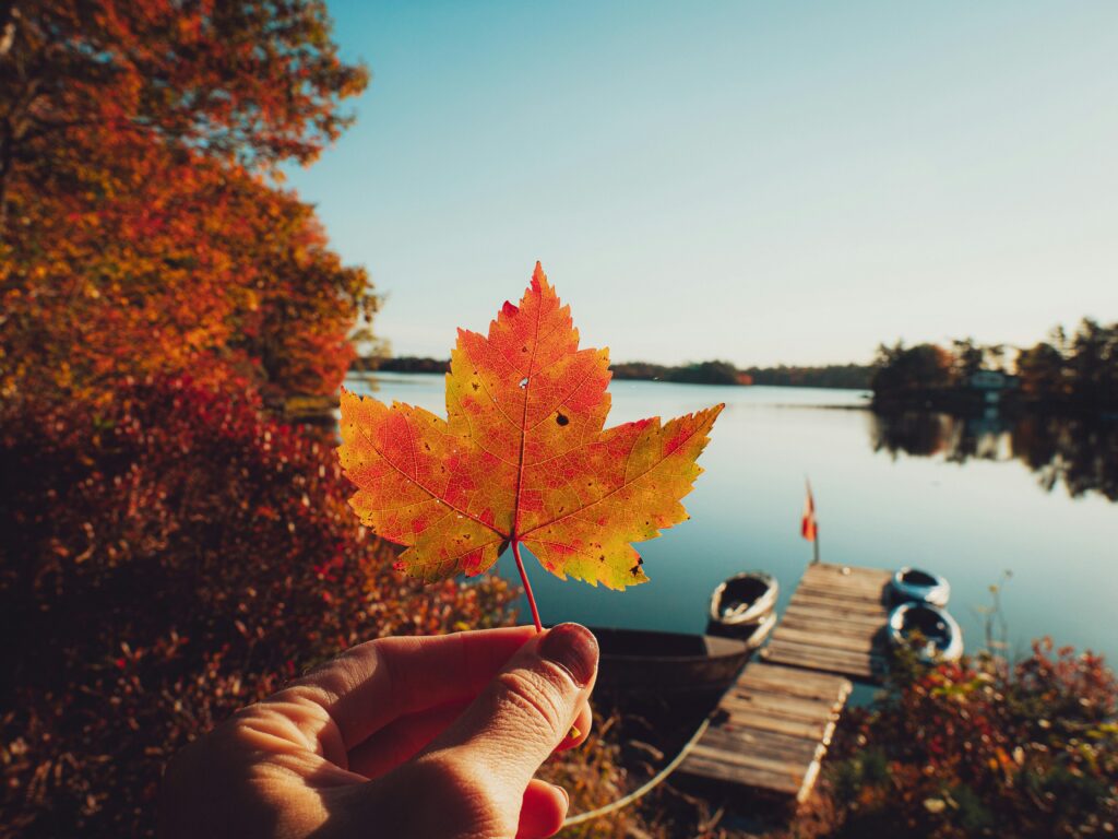 expanding your amazon store to canada, a leaf symbolizing the canandian flag